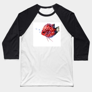 Discus Coral Red Aquarium Fish Baseball T-Shirt